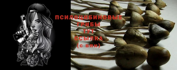 экстази Медногорск