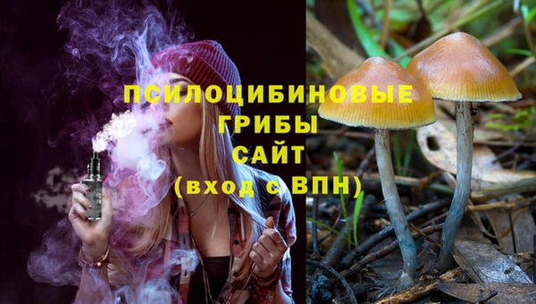 МДПВ Михайлов