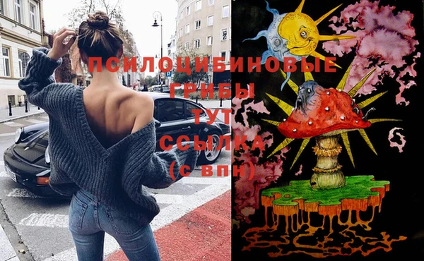 прущая мука Мегион