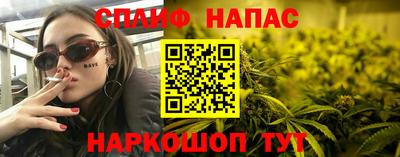 крисы Апшеронск