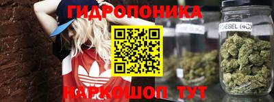ГАЛЛЮЦИНОГЕННЫЕ ГРИБЫ Дубна