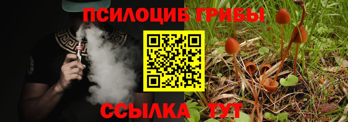 Псилоцибиновые грибы Psilocybine cubensis  Вход с VPN  Краснодар 