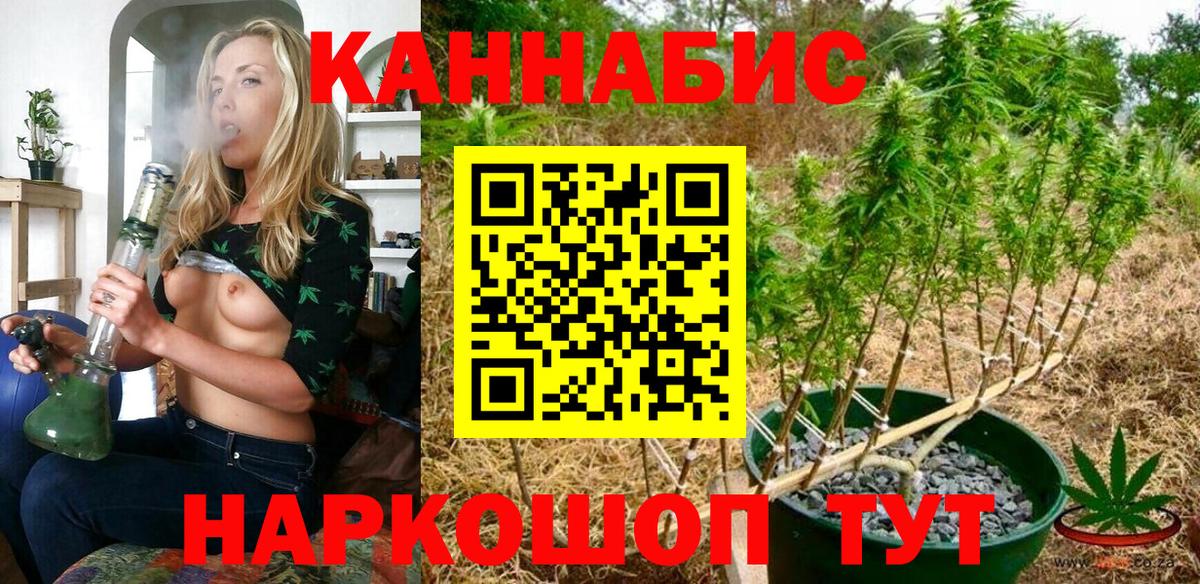 МАРИХУАНА ГИДРОПОН  Краснодар  Бошки Шишки планчик  Шишки марихуана OG Kush 